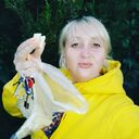 ���������� ������, ���� ������� ������, 47 ���, ������������ ��� ������, ����� � ���������, c�������� ���������, ���������