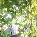  ,   , 53 ,   ,   , c 