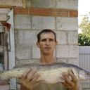 ���������� ���, ���� ������� ������, 49 ���, ������������ 