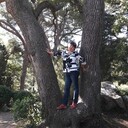  ,   , 60 ,   c 