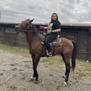 ���������� ������, ���� ������� ������, 40 ���, ������������ ��� ������, ����� � ���������, c�������� ���������, ���������