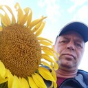  ,   , 49 ,   ,   