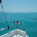 ���������� ����, ���� ������� ���, 29 ���, ������������ ��� ������, ����� � ���������