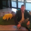 ���������� �����, ���� ������� �������, 54 ����, ������������ ��� ������, ����� � ���������, c�������� ���������