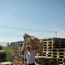 ���������� �����, ���� ������� ������, 31 ���, ������������ ��� ������, ����� � ���������, c�������� ���������, ���������