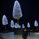 ���������� ����, ���� ������� ����, 27 ���, ������������ ��� ������, ����� � ���������