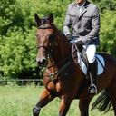 ���������� ����, ���� ������� �����, 36 ���, ������������ ��� ������