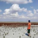 ���������� ������, ���� ������� ����, 37 ���, ������������ ��� c�������� ���������