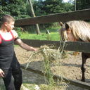 ���������� �����, ���� ������� Brus, 31 ���, ������������ ��� ������, ����� � ���������, c�������� ���������