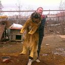  ,   Bundolf, 36 ,   ,   , c 