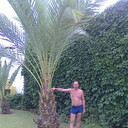  ,   , 60 ,   c 
