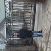  ,   , 38 ,   ,   , c 