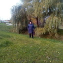  ,   , 65 ,   ,   , c 