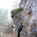  ,   , 53 ,     , c , 