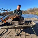 ���������� �������, ���� ������� ��������, 43 ����, ������������ ��� ������