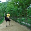 ���������� ����������, ���� ������� �����, 38 ���, ������������ ��� ������, ����� � ���������, c�������� ���������