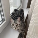  ,   , 27 ,   ,   , 