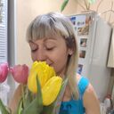 ���������� ������, ���� ������� �����, 43 ����, ������������ ��� ������, ����� � ���������