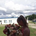 ���������� ���������, ���� ������� ������, 27 ���, ������������ ��� ������, ����� � ���������