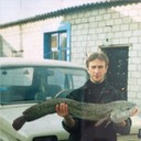 ���������� ��������, ���� ������� ����, 49 ���, ������������ ��� ������, ����� � ���������, c�������� ���������