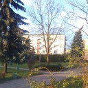 ���������� ����, ���� ������� ����, 37 ���, ������������ ��� ������, ����� � ���������, c�������� ���������