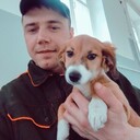 ���������� ����, ���� ������� Artemka, 34 ����, ������������ ��� ������, ����� � ���������, c�������� ���������, ���������