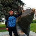  ,   , 38 ,     , c , 