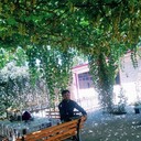 ���������� �������, ���� ������� ��������, 29 ���, ������������ ��� ������, ����� � ���������