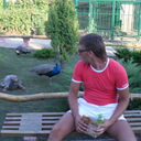 ���������� �����, ���� ������� ������, 37 ���, ������������ ��� ������, ����� � ���������, c�������� ���������