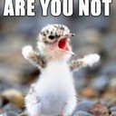 ���������� Aldinga, ���� ������� Don jack, 46 ���, ������������ ��� ������, ����� � ���������, c�������� ���������