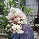  ,   , 62 ,   c 