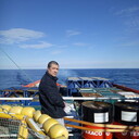 ���������� ���������, ���� ������� ������, 50 ���, ������������ ��� ������, ����� � ���������