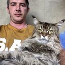  ,   , 41 ,   c 