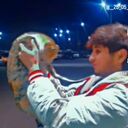 ���������� ������, ���� ����� �������, 22 ����, ������������ ��� ������, ����� � ���������