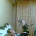  ,   Sevanap, 35 ,   