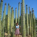 ���������� ������, ���� ������� ������, 65 ���, ������������ ��� ����� � ���������, c�������� ���������