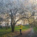 ���������� �����������, ���� ����� ����, 25 ���, ������������ ��� ����� � ���������, c�������� ���������