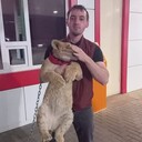  ,   , 26 ,   ,   , 