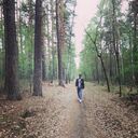 ���������� ���������, ���� ������� Ali, 28 ���, ������������ ��� ������, ����� � ���������