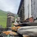 ���������� �������, ���� ������� Beka, 31 ���, ������������ ��� ������, ����� � ���������