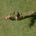 ���������� ����������, ���� ������� ��������, 45 ���, ������������ ��� ������, ����� � ���������, c�������� ���������