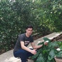 ���������� ������, ���� ������� Hasan, 31 ���, ������������ ��� ������, ����� � ���������