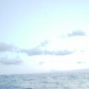 ���������� �����-���������, ���� ������� ����, 44 ����, ������������ ��� ������, ����� � ���������