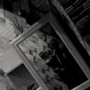 ���������� ���������, ���� ������� ���� �����, 18 ���, ������������ ��� ������, ����� � ���������