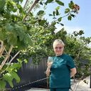 ���������� �����, ���� ������� �������, 51 ���, ������������ ��� c�������� ���������