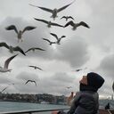 ���������� ������, ���� ������� �����, 33 ����, ������������ ��� ������, ����� � ���������