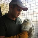 ���������� �������, ���� ������� ������, 31 ���, ������������ ��� ������, ����� � ���������, c�������� ���������, ���������