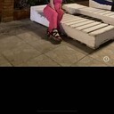  -,   , 40 ,     , c 