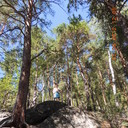 ���������� ����������, ���� ������� ����, 49 ���, ������������ ��� ������, ����� � ���������, c�������� ���������