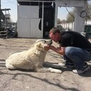 ���������� �������, ���� ������� ������, 47 ���, ������������ ��� ����� � ���������, c�������� ���������